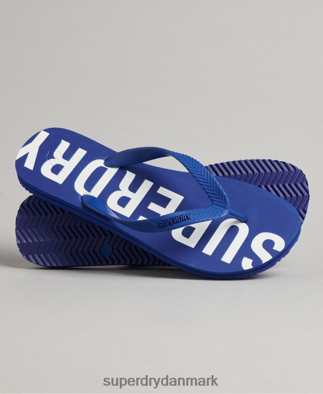 Superdry blå Mænd sko kode essentielle flip flops 868VH1928